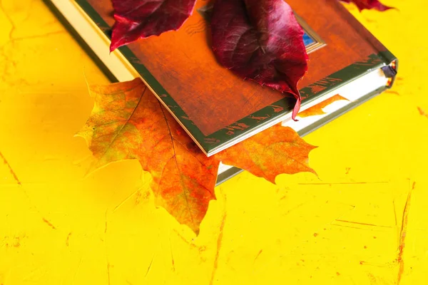 Autumn concept. A book and autumn leaves on a yellow concrete background. Close up. Selective focus — Stock Photo, Image