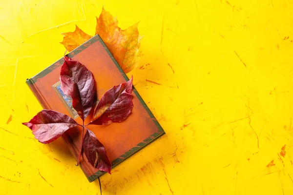 Autumn concept. A book and autumn leaves on a yellow concrete background. Copy space — Stock Photo, Image