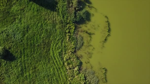 Panorama miasta Mińsk — Wideo stockowe