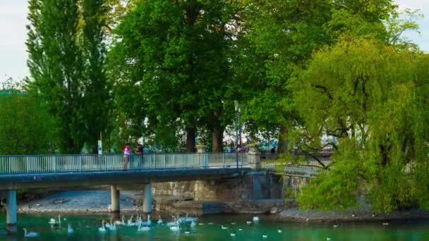 Imágenes Personas Caminando Por Las Calles Ginebra Suiza — Vídeos de Stock