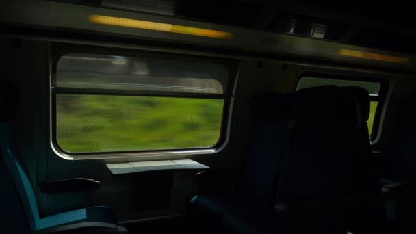 Trein reizen in de buurt van de schilderachtige velden — Stockvideo