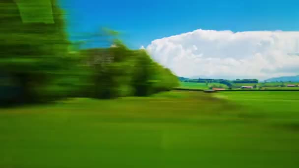 Train traveling near the picturesque fields — Stock Video