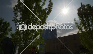 Porto ticinese sokak trafik