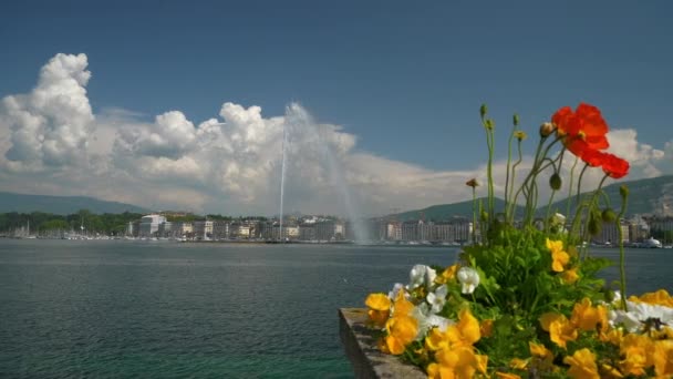 Schweiz Sonniger Tag Genf Stadt Seebrunnen Durch Die Blumen Zeitlupe — Stockvideo