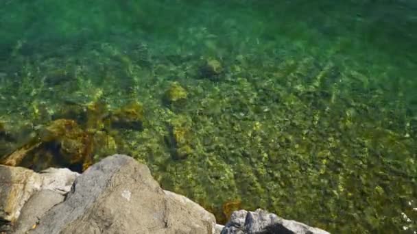 Suiza Día Soleado Geneva Ciudad Lakeside Agua Clara Cámara Lenta — Vídeos de Stock