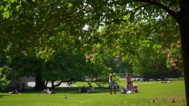 İsviçre yaz günü Zürih şehir Müzesi central Park'a çayır ağır çekim panorama 4k