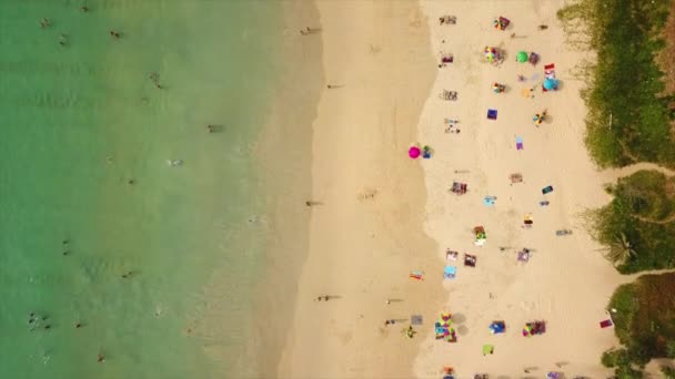 Phuket Thailandia Gennaio 2018 Turisti Sulla Spiaggia Resort Dell Isola — Video Stock