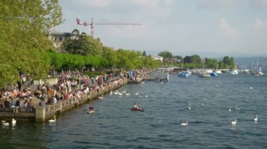 güneşli bir gün Zürih lakeside defne defne mesire ağır çekim panorama 4 k İsviçre kalabalık