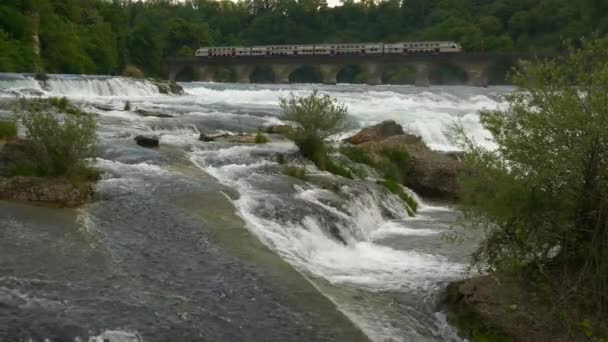 Καλοκαιρινή Μέρα Διάσημη Rheinfall Καταρράκτη Αργή Κίνηση Ελβετία Πανόραμα — Αρχείο Βίντεο