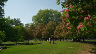 İsviçre Zürih şehir yaz gün müze central Park'a çayır ağır çekim panorama 4k