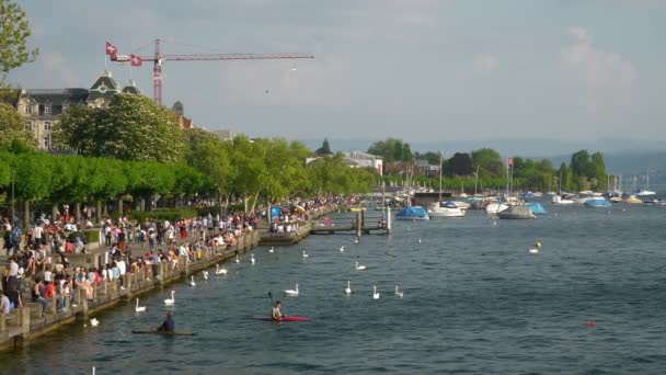 Día Soleado Zurich Lago Bahía Concurrida Paseo Marítimo Bahía Cámara — Vídeo de stock