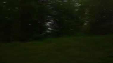 Gün içerisinde yan pencere pov panorama 4 k İtalya Tren