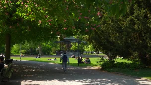 スイス夏日チューリッヒ市博物館中央公園道路スロー モーション パノラマ — ストック動画