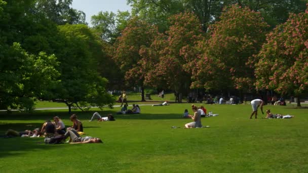 スイス チューリッヒ市夏の日有名な美術館中央公園草原パノラマ — ストック動画