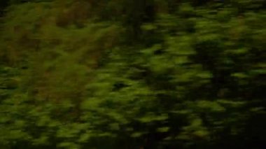 İsviçre güneşli gün Zürih şehir tren yol yolculuk yolcu pencere Panoraması 4k