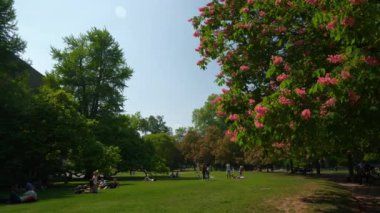 İsviçre Zürih şehir yaz gün müze central Park'a çayır ağır çekim panorama 4k