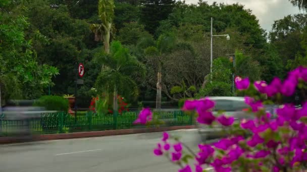 Bangalore Città Traffico Strada Sera Panorama Timelapse India — Video Stock
