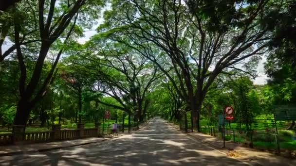 阳光明媚的日子班加罗尔市著名的中央公园交通道路全景4K 时光色印度 — 图库视频影像