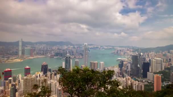 Day Time Hong Kong Cityscape Panorama China — Stock Video