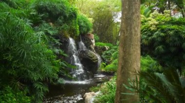 Bangalore şehir ünlü Botanik Bahçesi hava panorama 4k Hindistan
