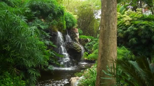 방갈로 유명한 식물원 파노라마 — 비디오