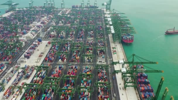 Singapur Timelapse Muelle Paisaje Urbano Metraje Panorama — Vídeos de Stock