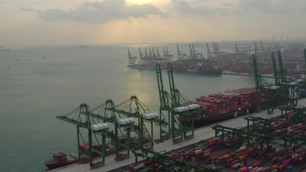 Singapore Timelapse Dock Paesaggio Urbano Panorama — Video Stock