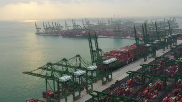 Singapore Timelapse Dock Cityscape Images Panorama — 비디오