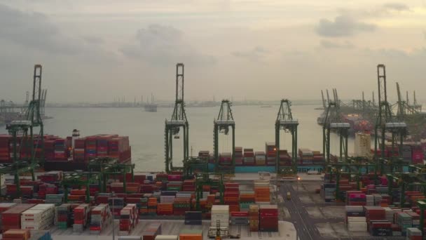 Singapur Timelapse Muelle Paisaje Urbano Metraje Panorama — Vídeos de Stock