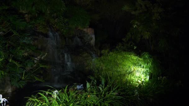 Bangalore Ciudad Famoso Jardín Botánico Vista Aérea India — Vídeo de stock