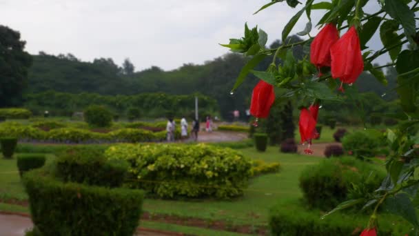 Turistas Cidade Bangalore Famoso Jardim Botânico Panorama Aéreo Índia — Vídeo de Stock