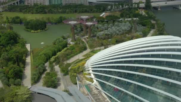 Singapur Octubre 2019 Vista Día Del Bosque Nuboso Cúpula Flores — Vídeos de Stock