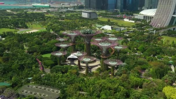 Σιγκαπούρη Ιανουάριος 2019 Κήποι Από Την Προβλήτα Σούπερ Δέντρο Κέντρο — Αρχείο Βίντεο