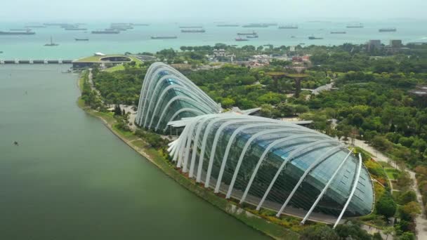 Singapur Říjen 2019 Denní Pohled Cloud Forest Květinová Kopule Zahradách — Stock video
