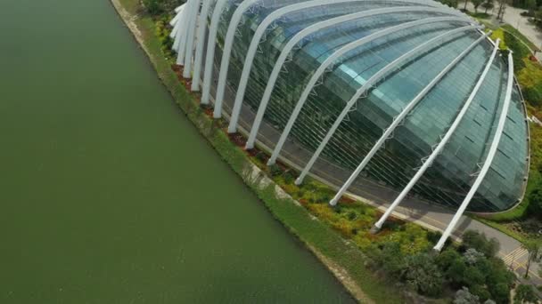 Singapur Říjen 2019 Denní Pohled Cloud Forest Květinová Kopule Zahradách — Stock video