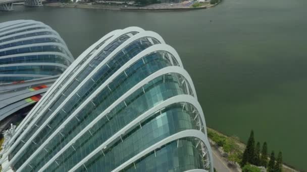 Сингапур Октября 2019 Года Вид Облачный Лес Цветочный Купол Садах — стоковое видео