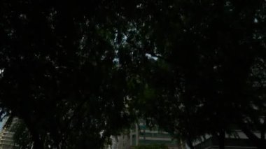 Kuala Lumpur, Malezya - 25 Mayıs 2018: Kuala lumpur şehir merkezi panorama 4k dolaylarında 25 Mayıs 2019 Kuala lumpur, Malezya