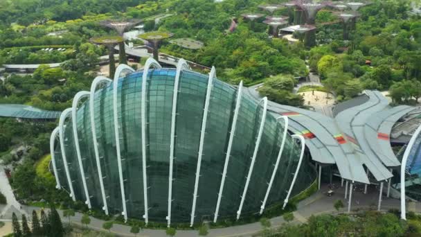 Singapur Października 2019 Widok Dnia Cloud Forest Flower Dome Gardens — Wideo stockowe