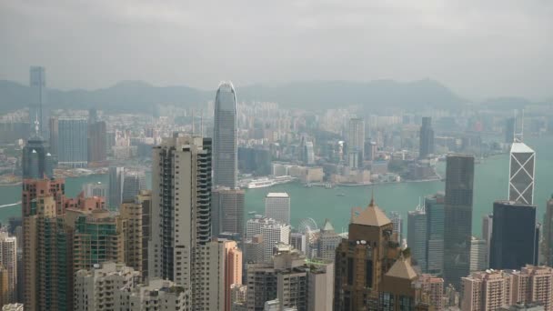 Día Soleado Shenzhen Paisaje Urbano Hongkong Frontera Ribera Panorama Aéreo — Vídeo de stock