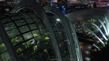 Singapur - 18 Haziran 2019: Bay 4k görüntüleri tarafından Gardens Cloud Forest & Flower Dome günü görünümü