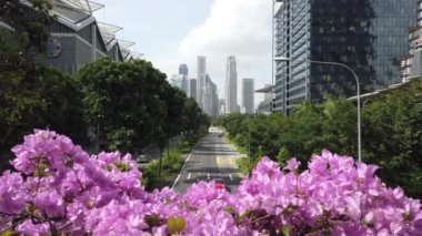 Singapur şehir merkezi trafik sokağı yaya geçidi çiçek manzaralı panorama 4k