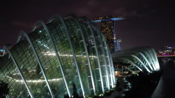 Singapur Czerwca 2019 Widok Dnia Lasu Chmury Flower Dome Gardens — Wideo stockowe