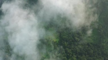 Akdeniz Kıyısı Manzarası