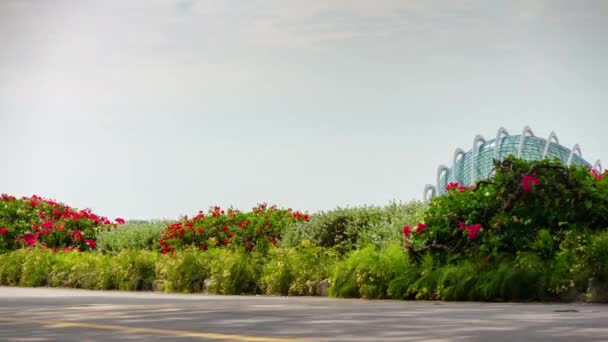 Cingapore Cingapore Maio 2019 Vista Panorâmica Centro Cidade Singapura Com — Vídeo de Stock