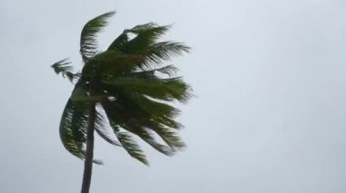 Samui fırtınası ada sahil şeridi havacılık manzarası 4k thailand