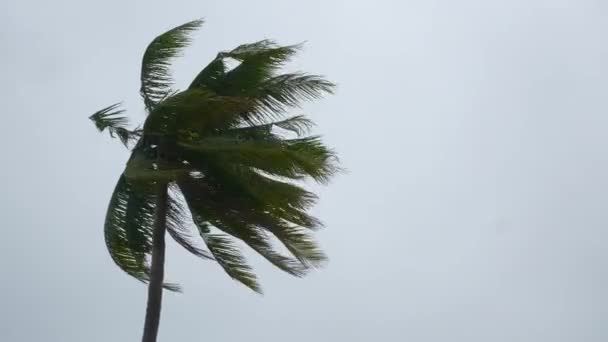 萨穆伊风暴在海岛海岸线上的空中全景4K — 图库视频影像