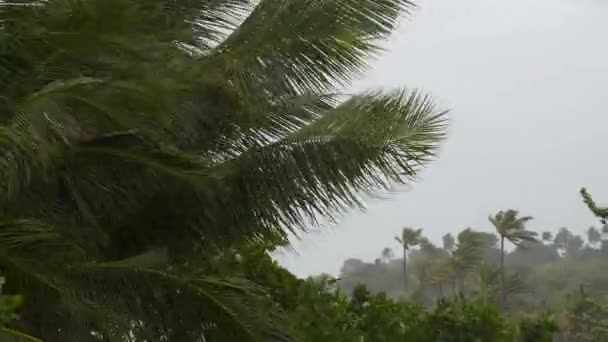 Tempesta Samui Sull Isola Spiaggia Costa Panoramica Aerea Thailandia — Video Stock