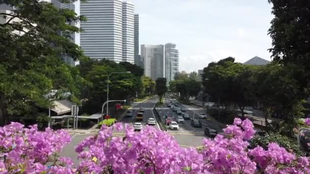 Päivällä Lento Singapore City Antenni Panoraama Kuvamateriaalia — kuvapankkivideo