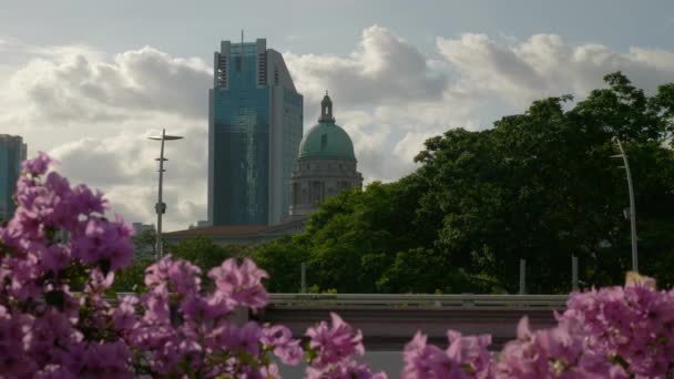 Singapur Centrum Miasta Ruch Uliczny Deptak Most Kwiaty Widok Panorama — Wideo stockowe