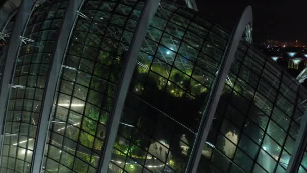 Singapore Juni 2019 Dag Syn Cloud Forest Flower Dome Gardens — Stockvideo